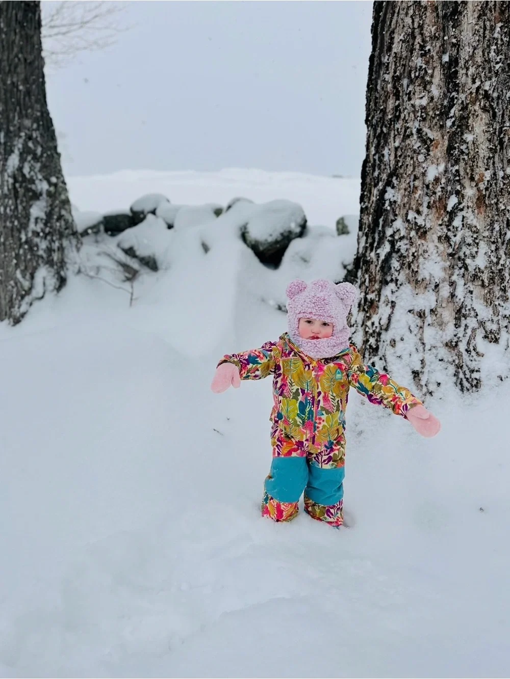 Patagonia Girls Snowsuit